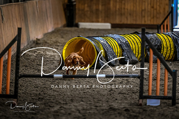 DAN_1814