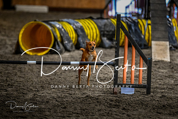 DAN_1829