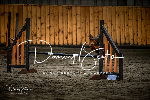 DAN_1413