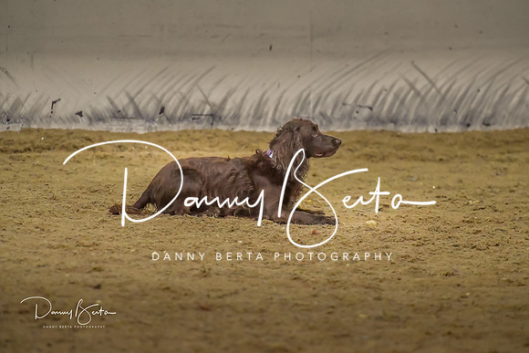 DAN_0812