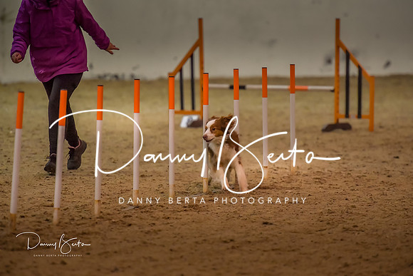 DAN_0796