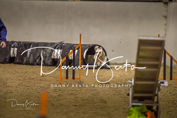 DAN_0782