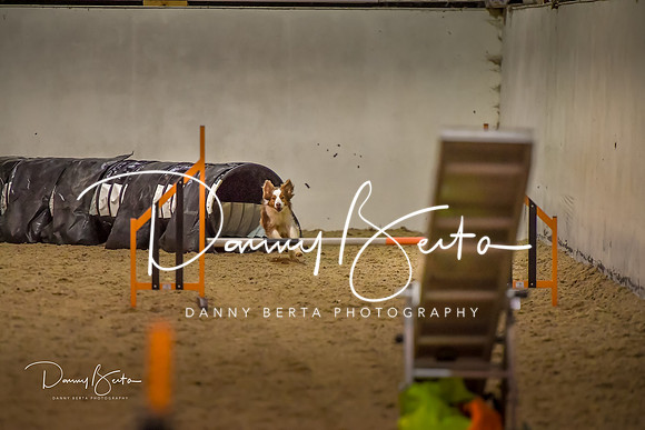 DAN_0805