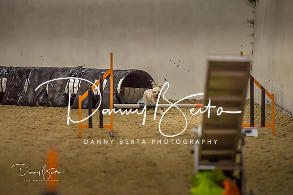 DAN_0781