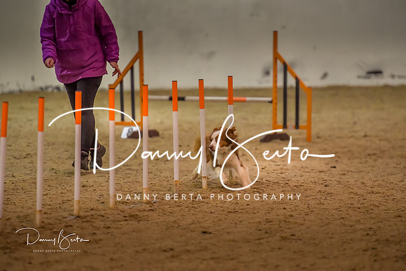 DAN_0794