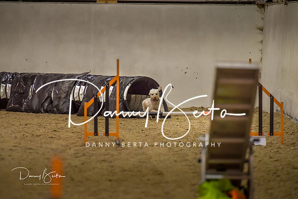 DAN_0780