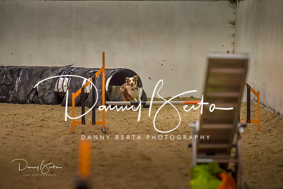 DAN_0804