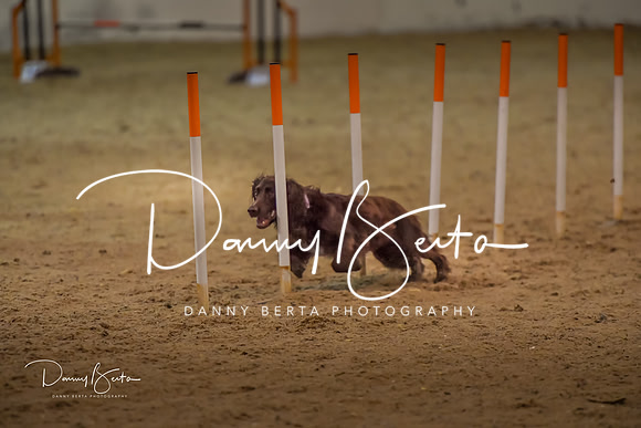 DAN_0828
