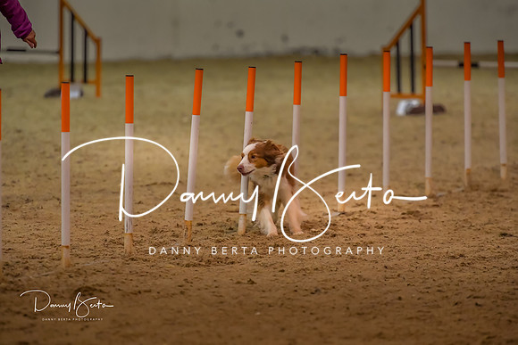 DAN_0800