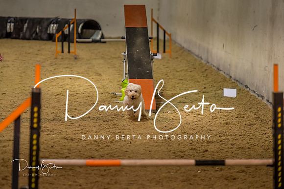 DAN_0784