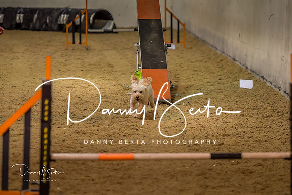DAN_0785