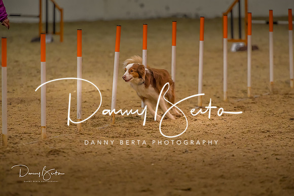 DAN_0801