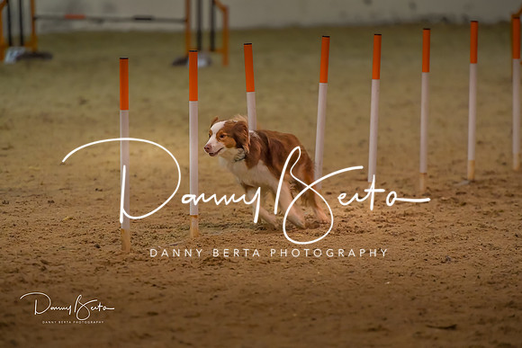 DAN_0803