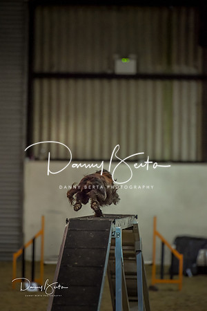DAN_0817