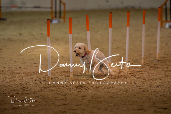 DAN_0778