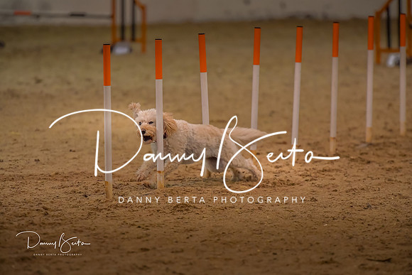 DAN_0779