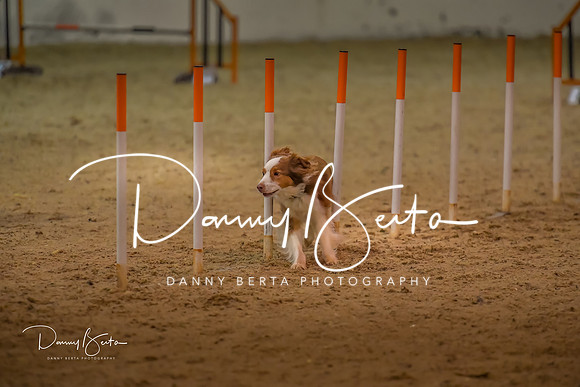 DAN_0802