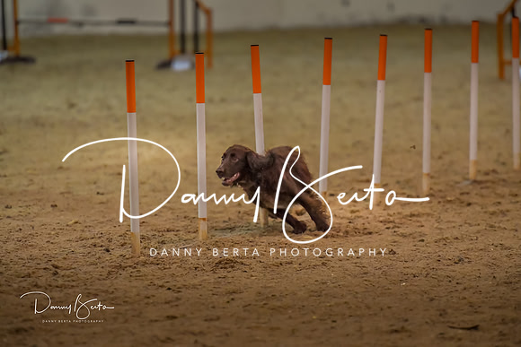 DAN_0827