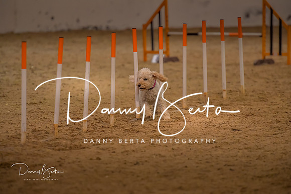 DAN_0774