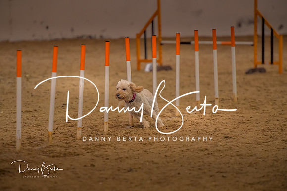 DAN_0775