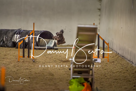 DAN_0832