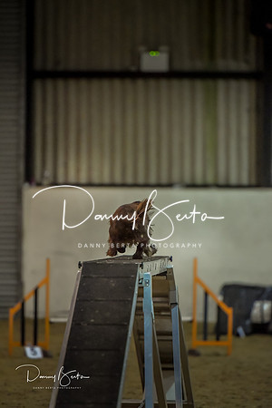 DAN_0818