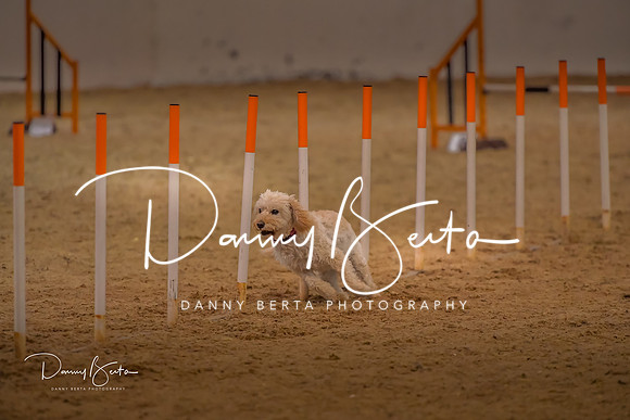 DAN_0777
