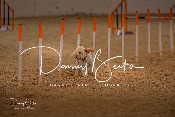 DAN_0776
