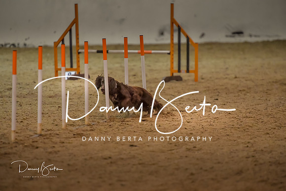 DAN_0819