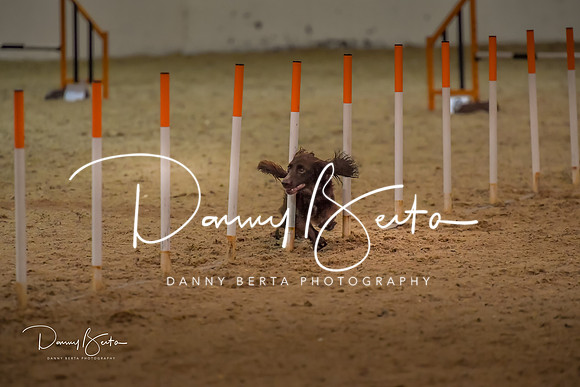 DAN_0825