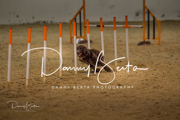 DAN_0821