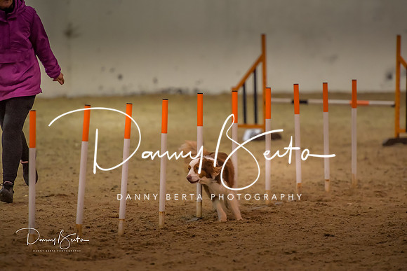 DAN_0799