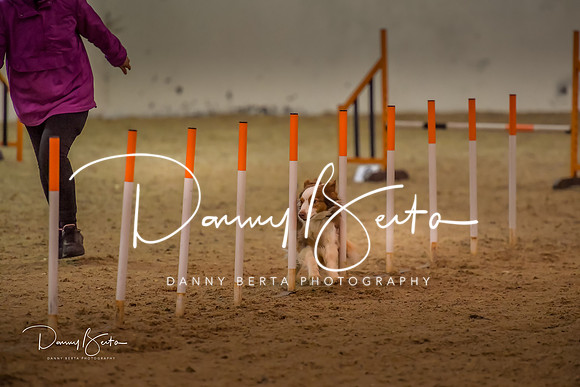 DAN_0798