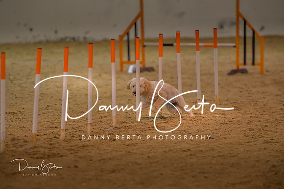 DAN_0773