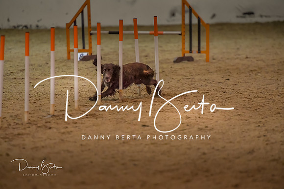 DAN_0820