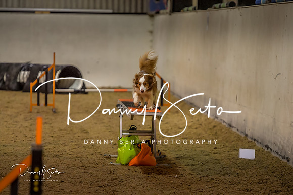 DAN_0808