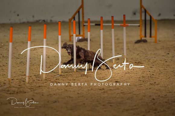 DAN_0822