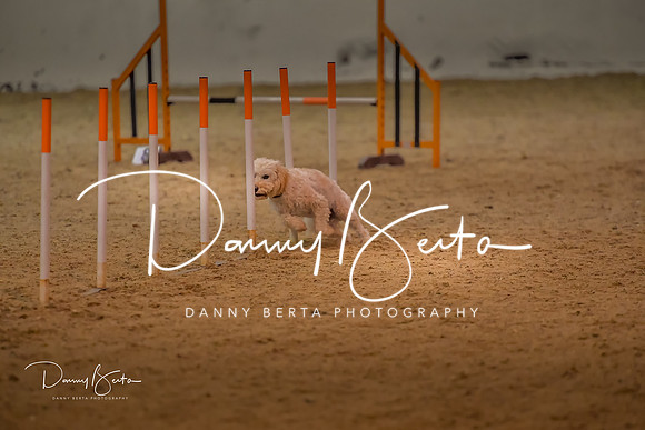 DAN_0771