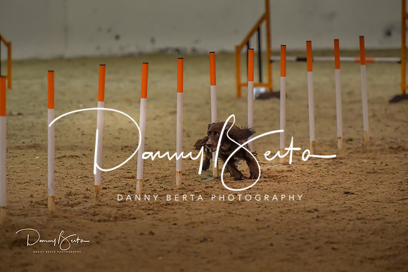 DAN_0823