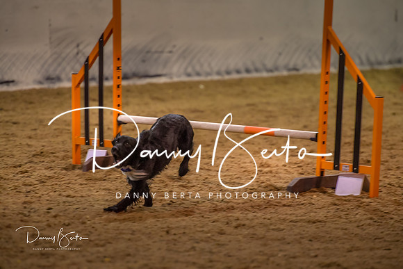 DAN_0379