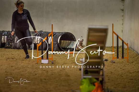 DAN_0345