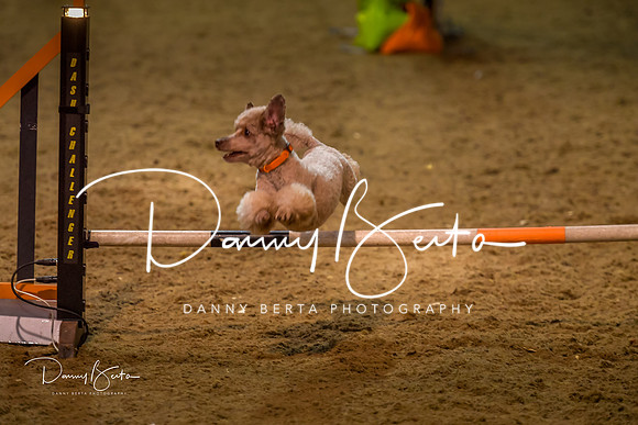 DAN_0351