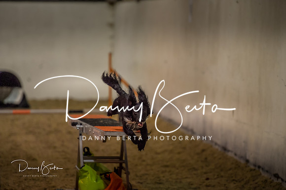 DAN_0386