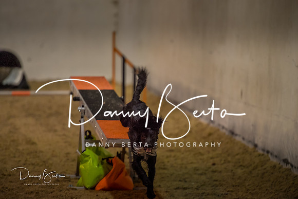 DAN_0387