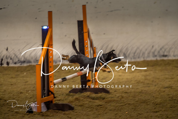 DAN_0352