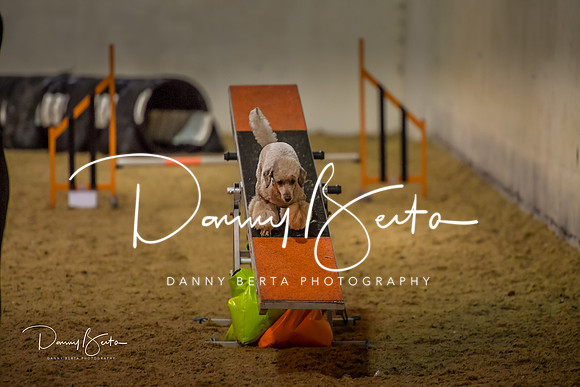 DAN_0346