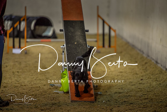 DAN_0391