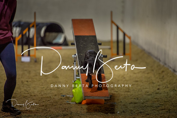 DAN_0390