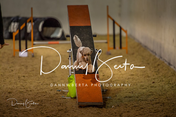 DAN_0347