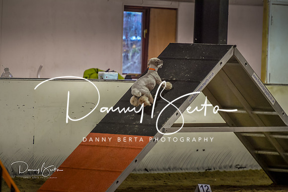 DAN_0343